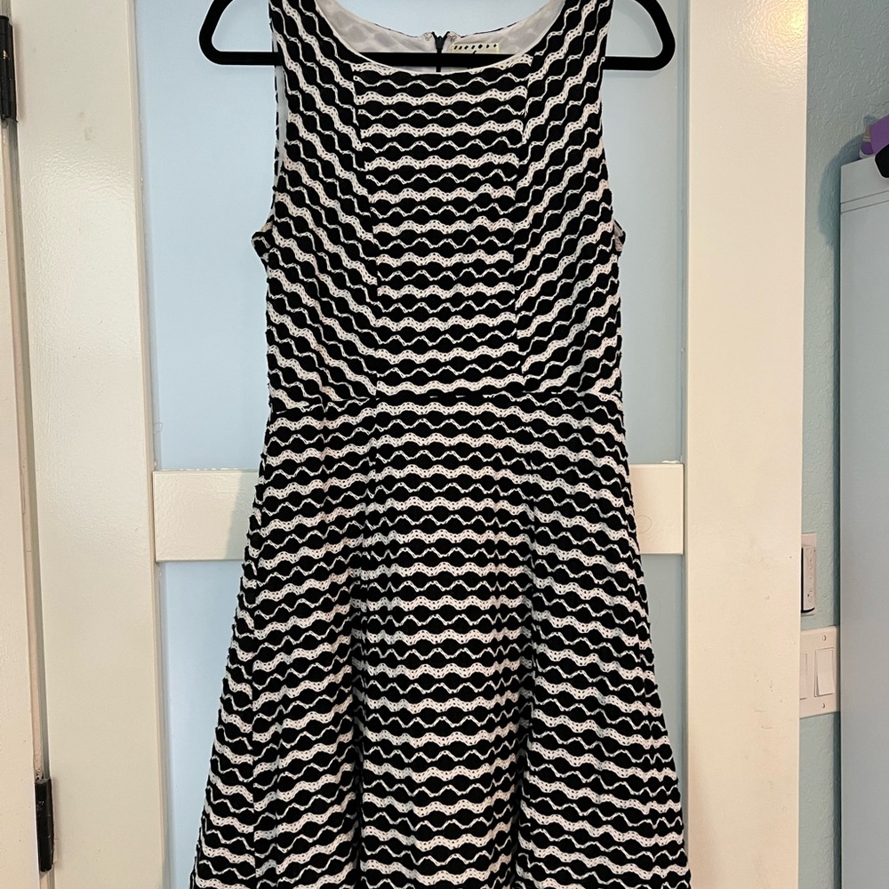 Ice Black and White Sleeveless A-Line Dress